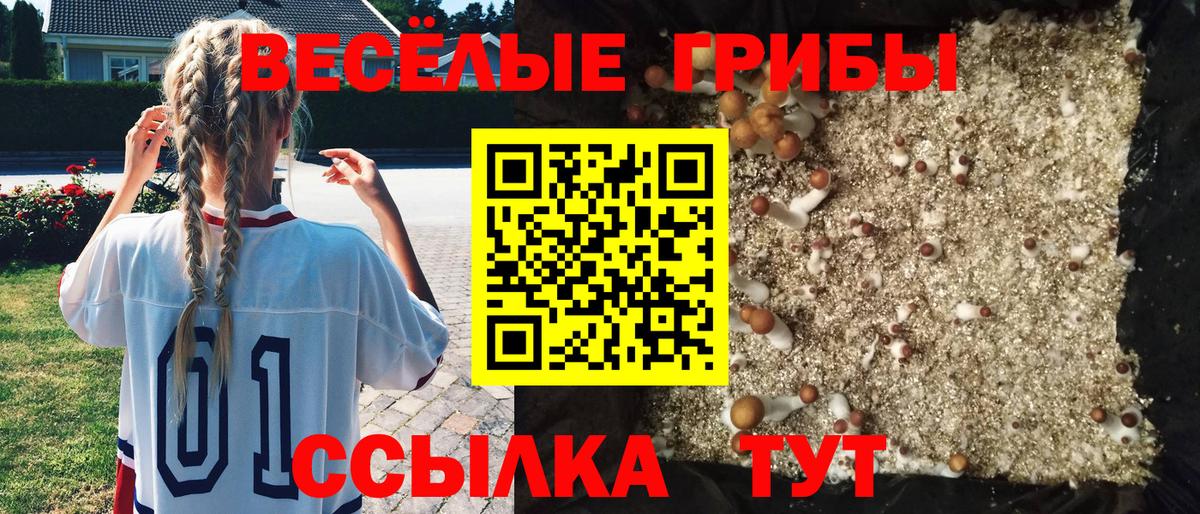 Псилоцибиновые грибы ЛСД  Вход с VPN  Набережные Челны 